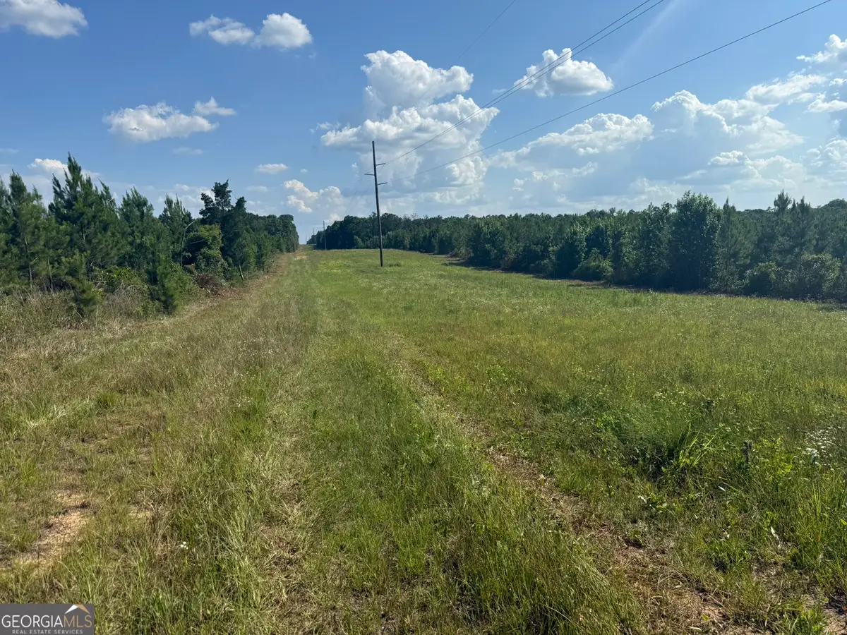 009 George Milling Rd, Cuthbert, GA 39840 - #1