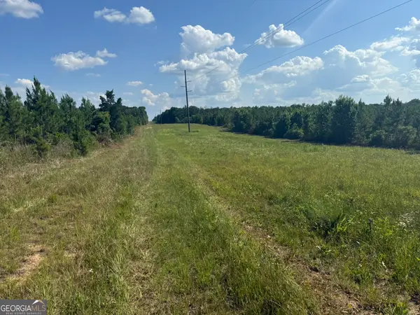 009 George Milling Rd, Cuthbert, GA 39840