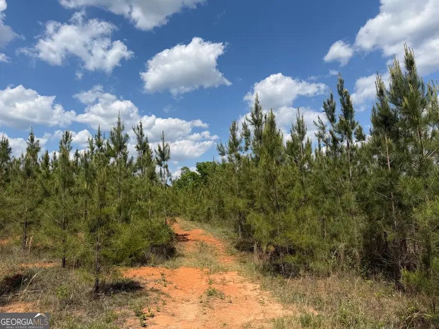 009 George Milling Rd, Cuthbert, GA 39840 - #3