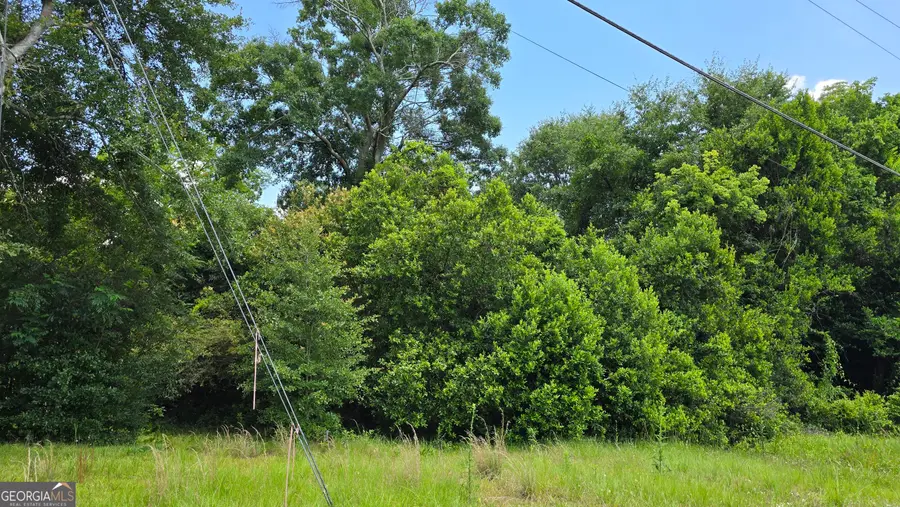 3328 Rice Mill Road, Macon, GA 31206 - #2