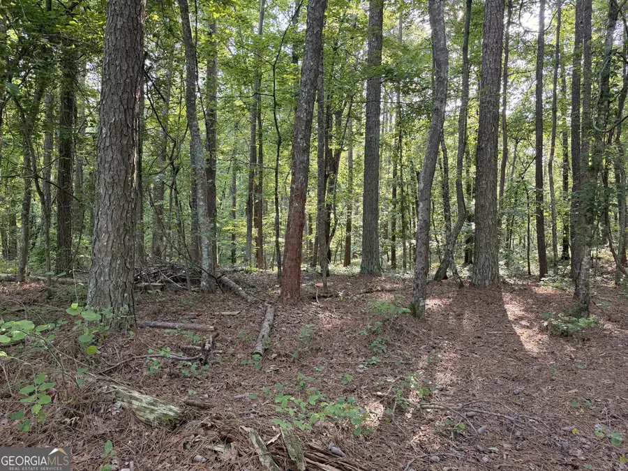 0 Wildcat Road, Buchanan, GA 30113 - #2
