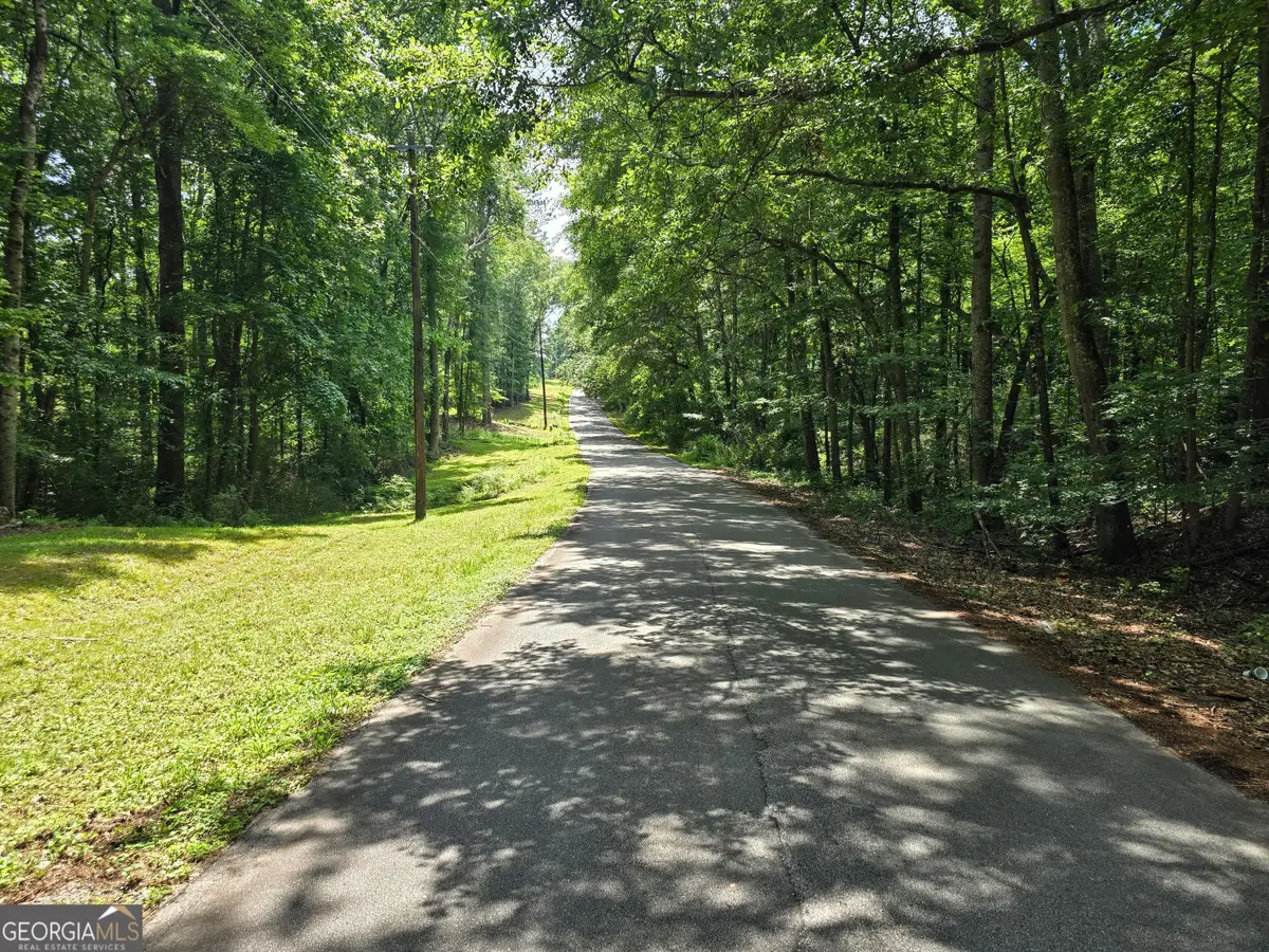 5 LOTS Rome St. & Driver Street, Temple, GA 30179 - #1