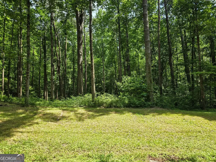 5 LOTS Rome St. & Driver Street, Temple, GA 30179 - #3