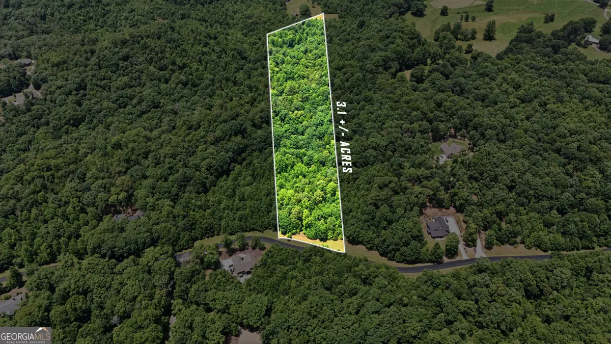 171 Laceola North Road, Cleveland, GA 30528 - #1