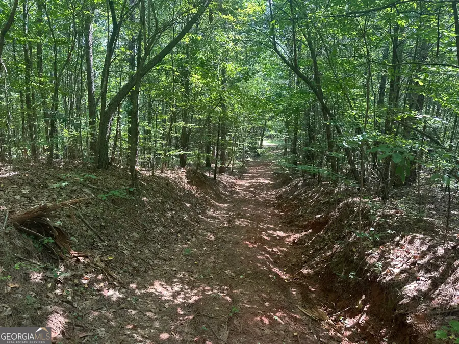 40 Patriot View Drive, Dahlonega, GA 30533 - #3