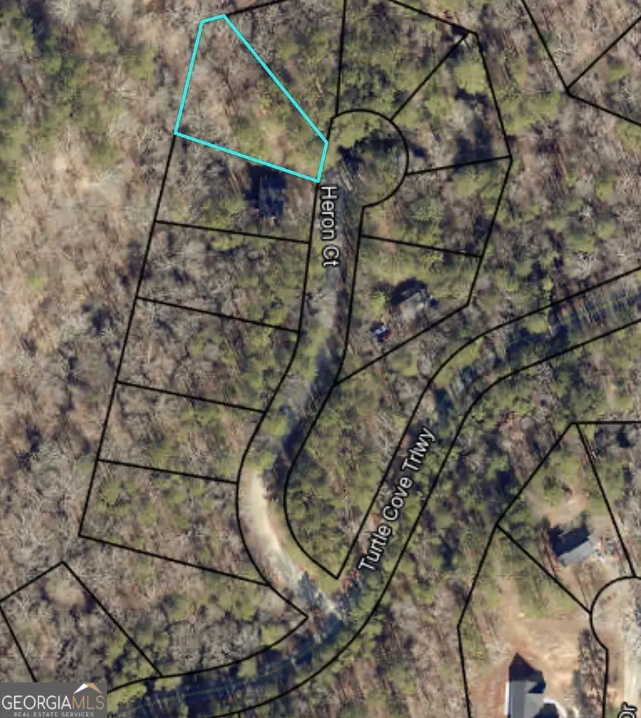 0 Heron Court, Monticello, GA 31064 - #3