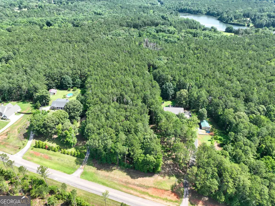 0 Collins Way, Locust Grove, GA 30248 - #2