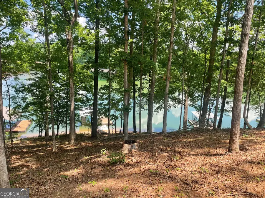 145 Sweet Gum Drive, Westminster, SC 29693 - #2