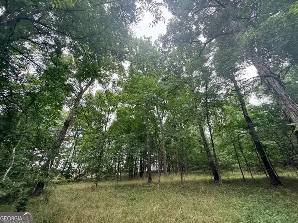 1 Bethesda Church Road, Lexington, GA 30648