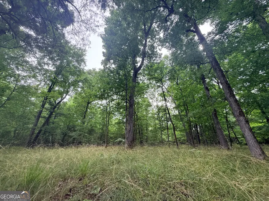 1 Bethesda Church Road, Lexington, GA 30648 - #2