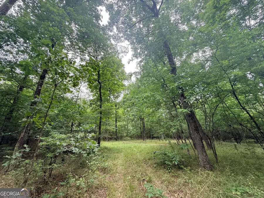 1 Bethesda Church Road, Lexington, GA 30648 - #3