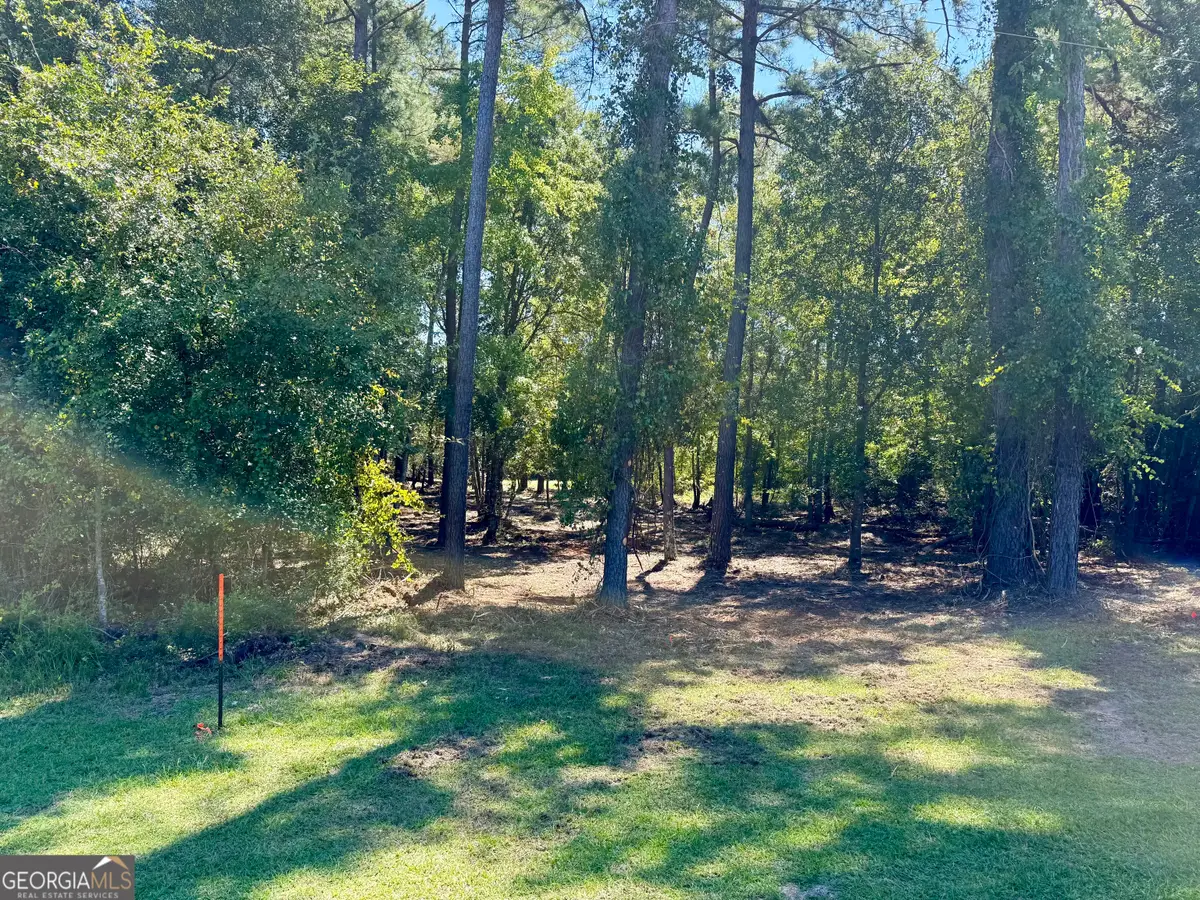 0 Friendship Road, Sylvania, GA 30467 - #1