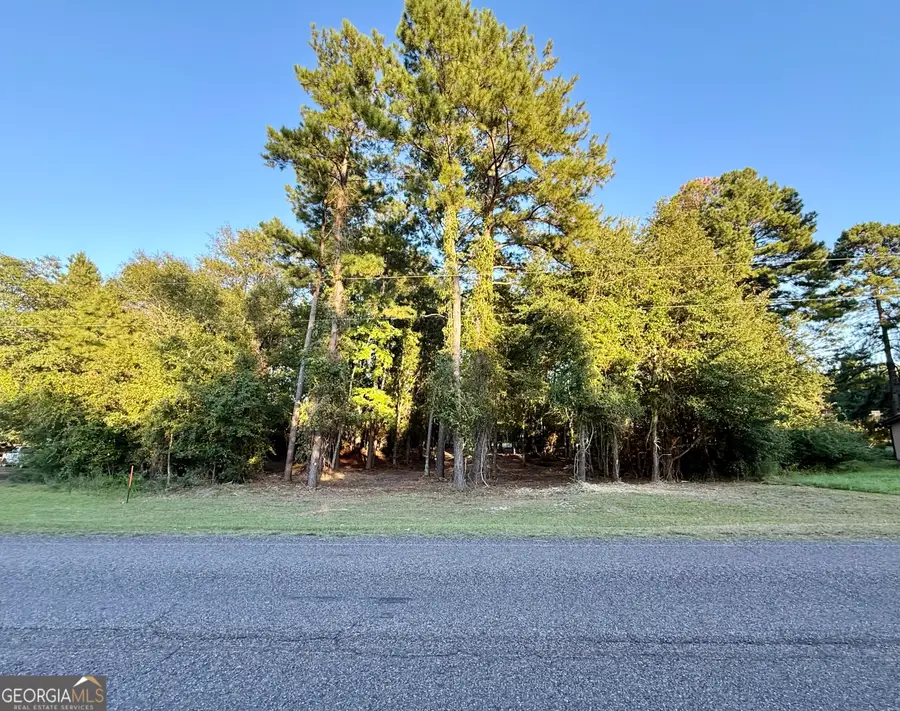 0 Friendship Road, Sylvania, GA 30467 - #2