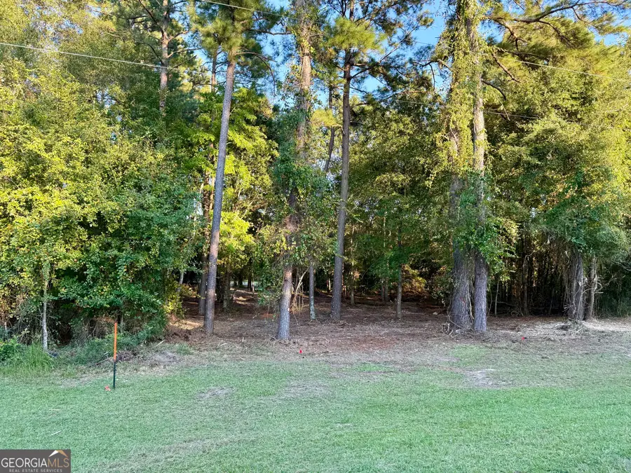 0 Friendship Road, Sylvania, GA 30467 - #3