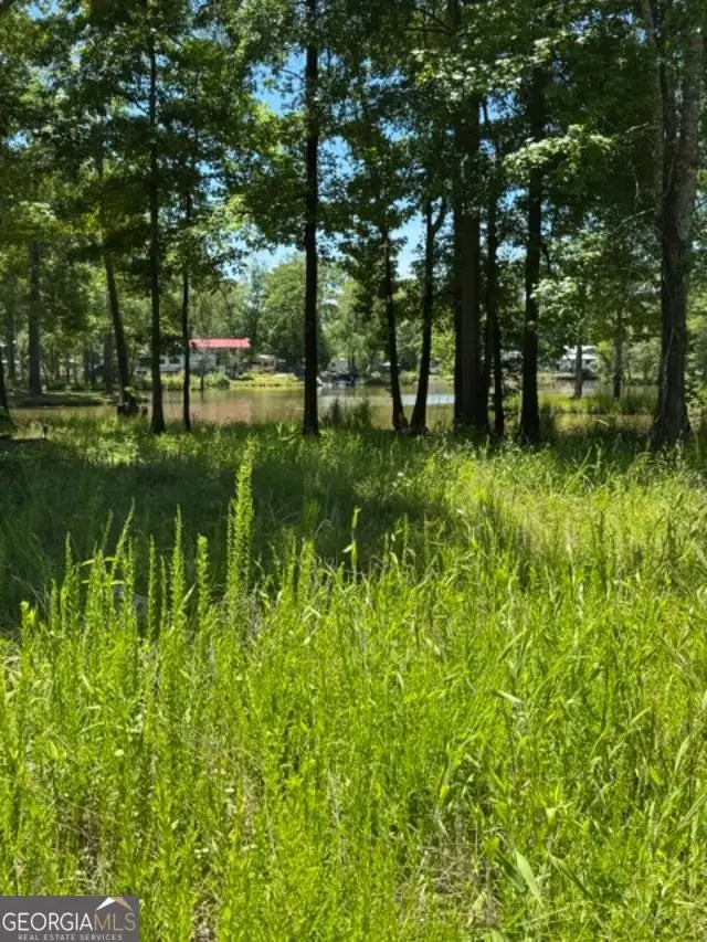 LOT 5 Nickles Cove #LOT 5, Cedar Bluff, AL 35959 - #3