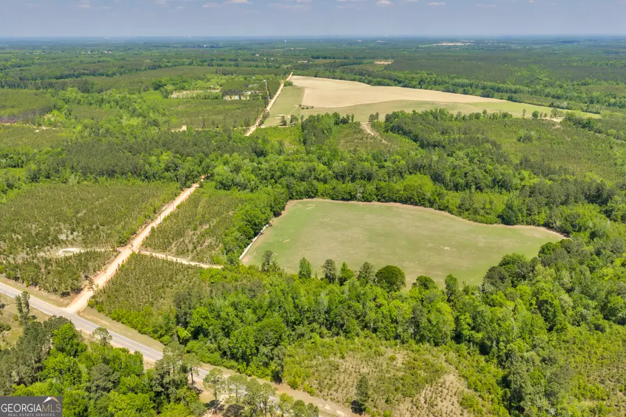 1180 Hwy 126, Cadwell, GA 31009 - #2