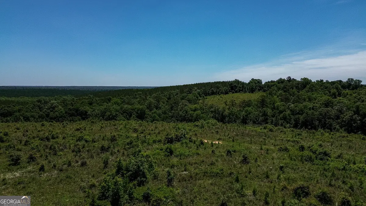 6687 Green Grove Road, Lumpkin, GA 31815 - #1