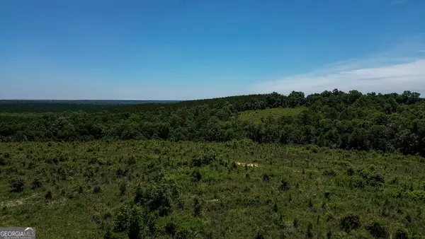 6687 Green Grove Road, Lumpkin, GA 31815