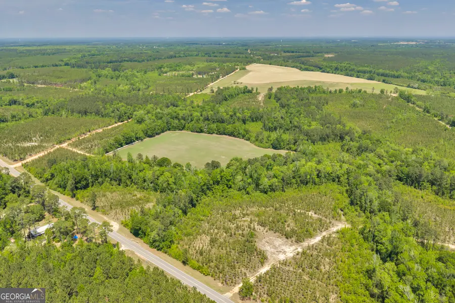 1180 Hwy 126, Cadwell, GA 31009 - #2