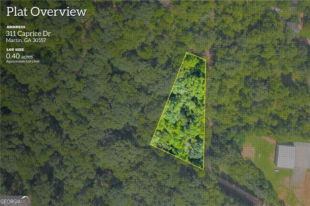 311 Caprice Drive, Martin, GA 30557 - #1