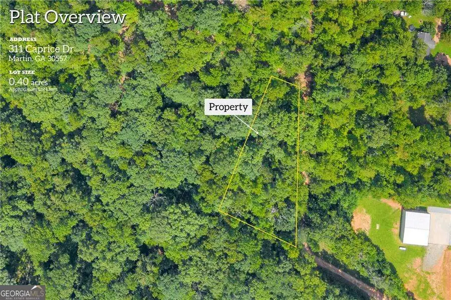 311 Caprice Drive, Martin, GA 30557 - #3