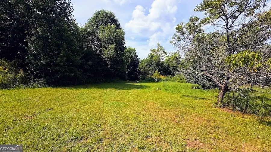 380 Nix Road, Bremen, GA 30110 - #3