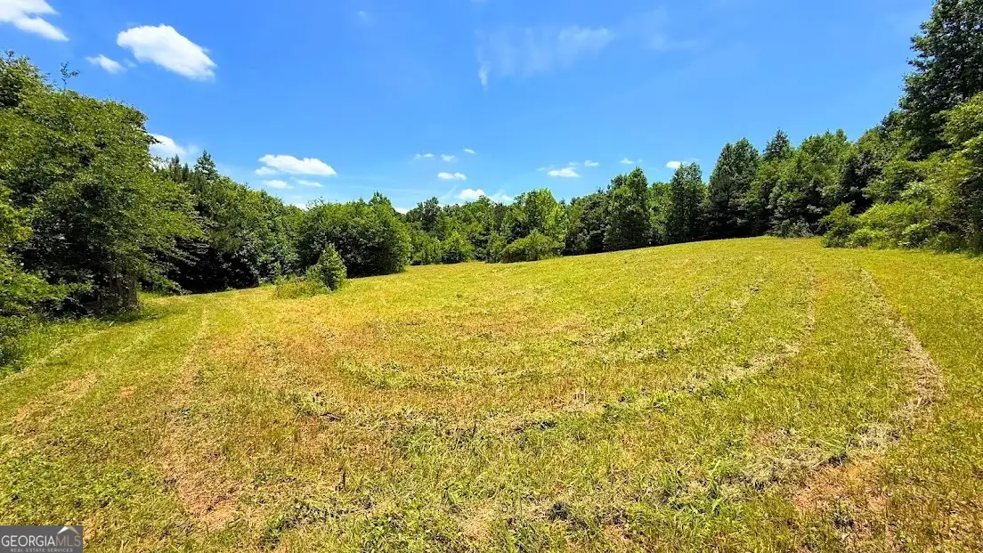 0 Nix Road, Bremen, GA 30110 - #1