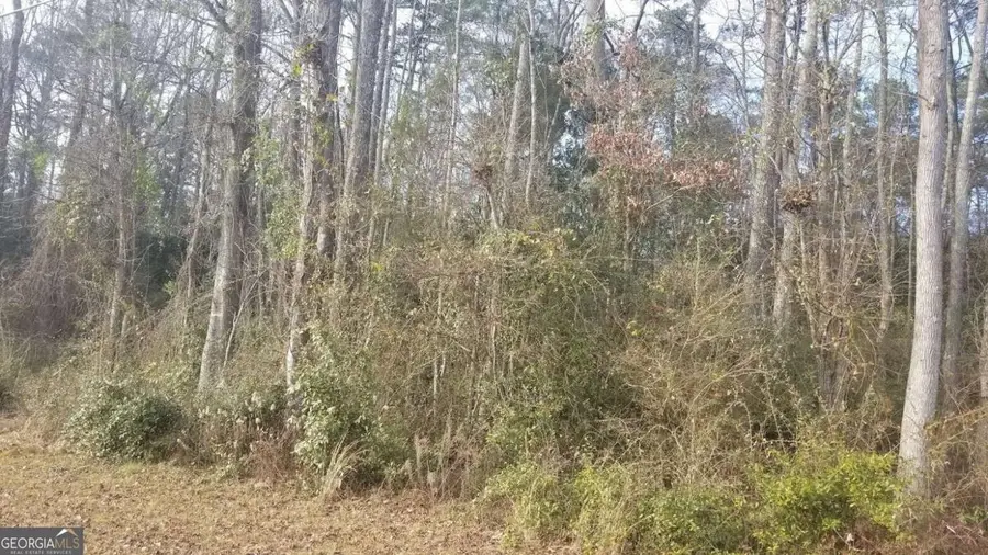 0 Veterans Drive, Thomaston, GA 30286 - #3