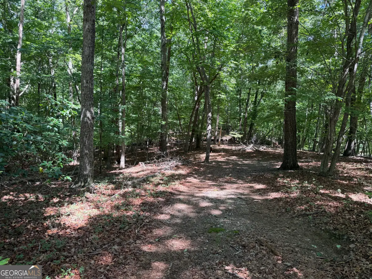 7 Ivy Hills Drive, Cleveland, GA 30528 - #1