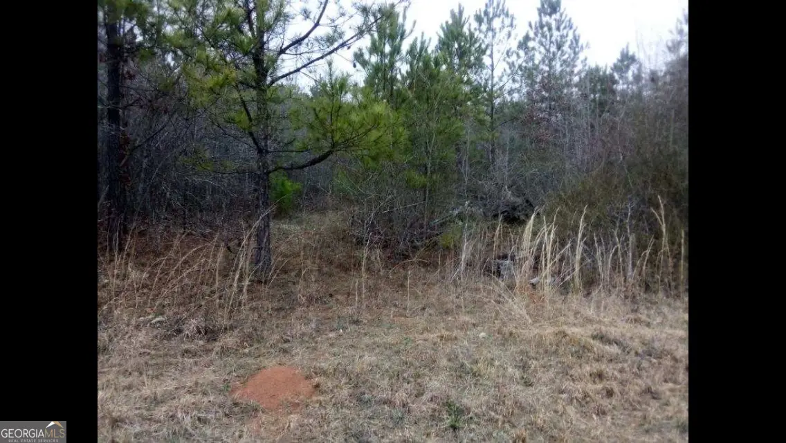 002 Old Woodbury Road, Woodbury, GA 30293 - #1