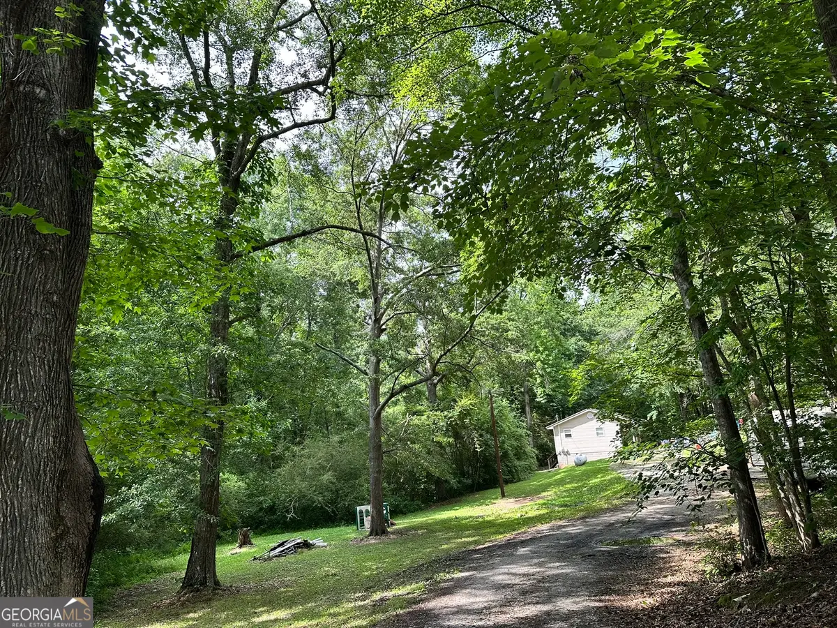 162 Mcintosh Street, Whitesburg, GA 30185 - #1