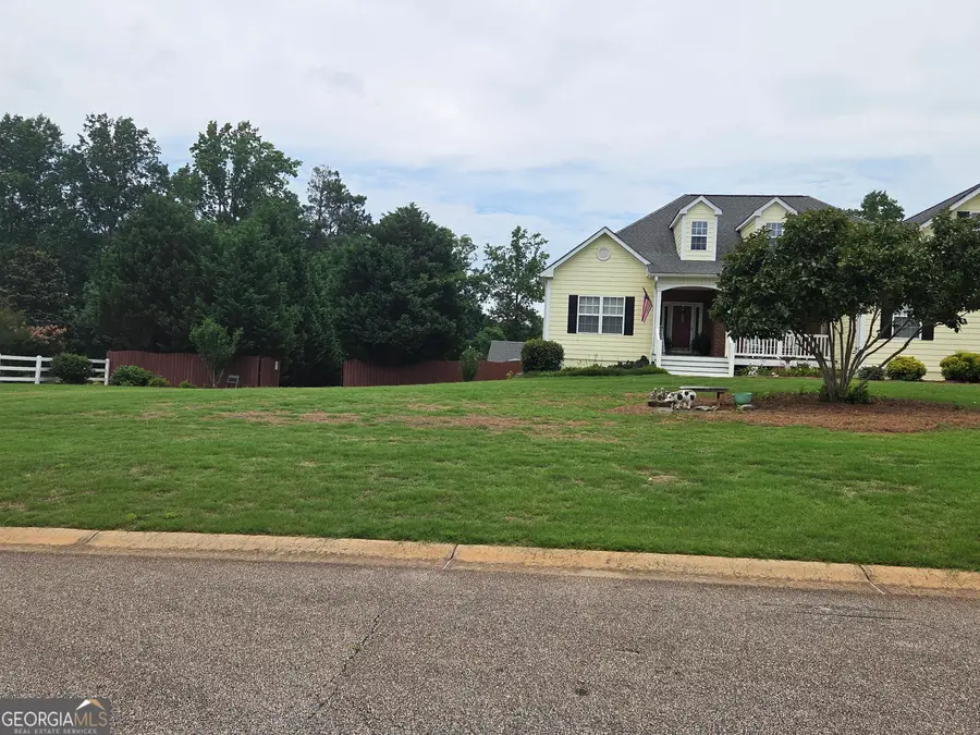 250 Rock Mill Trail, Senoia, GA 30276 - #3