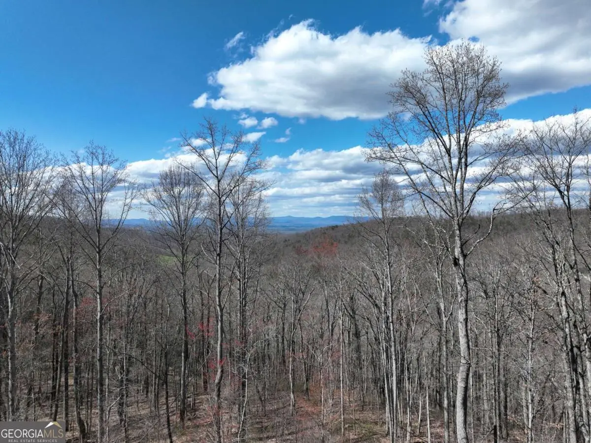 270R Stone Cliff Drive, Ellijay, GA 30536 - #1