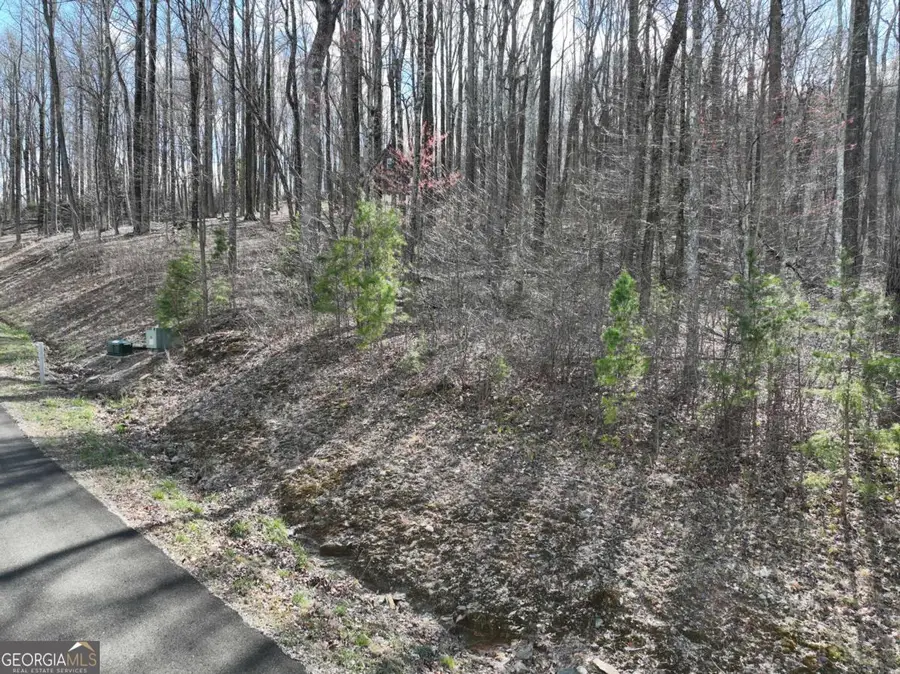 270R Stone Cliff Drive, Ellijay, GA 30536 - #2
