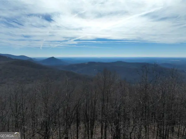 256 Blood Root Trail, Ellijay, GA 30536
