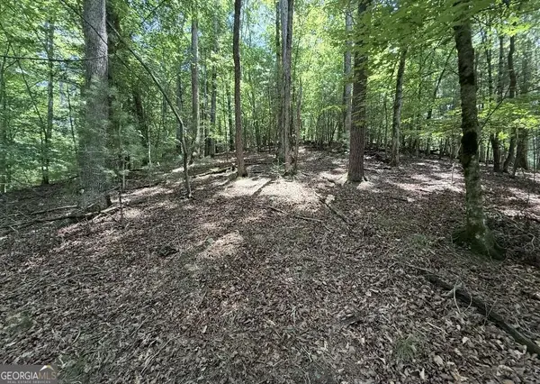 LOT 2607 Magnet Court, Ellijay, GA 30540
