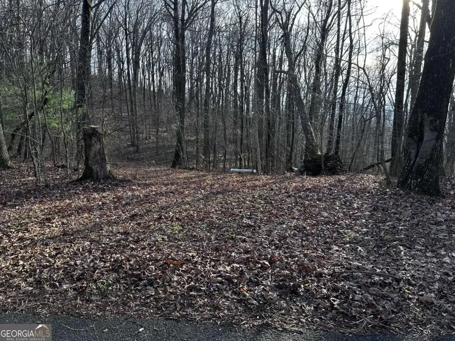 32 Andes Ridge, Jasper, GA 30143 - #2