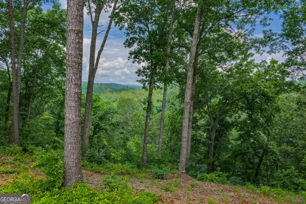 LOT 295A Pebble Trace, Talking Rock, GA 30175