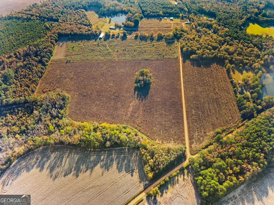 0 Waters Lane #LOT 5, Claxton, GA 30417 - #3