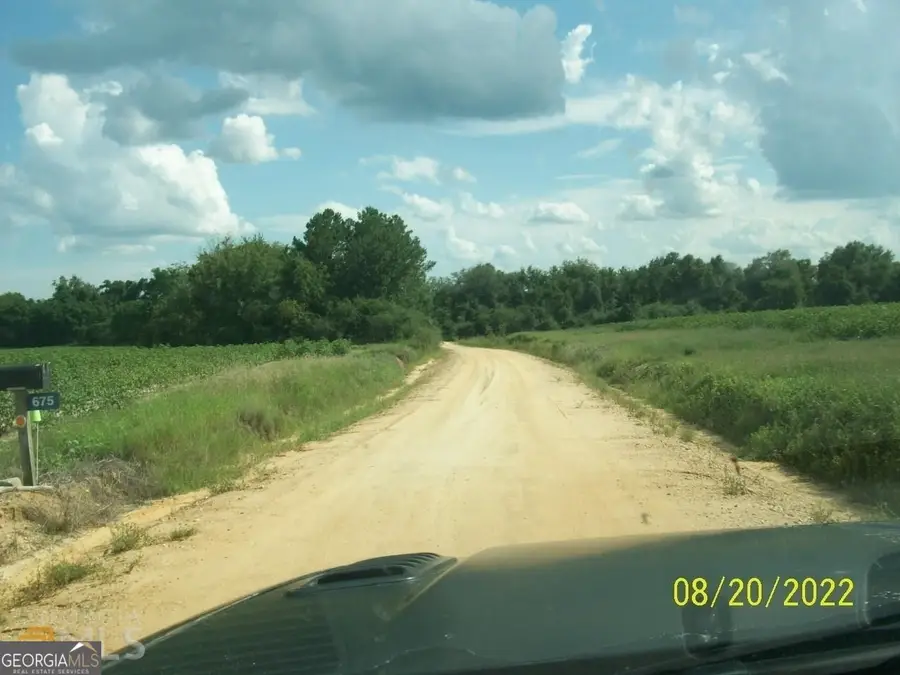 650 Howard Farm Road, Vienna, GA 31092 - #2