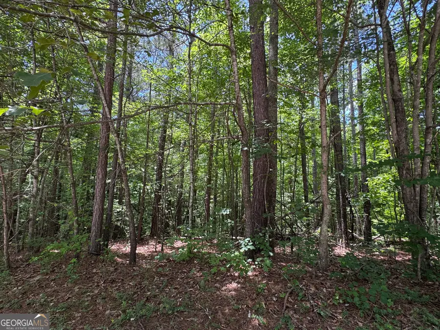 201 Stonebridge Boulevard, Bremen, GA 30110 - #2