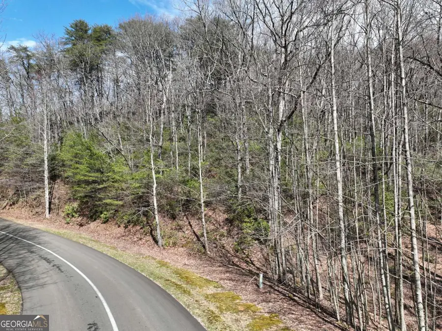 63 St Andrews Way, Ellijay, GA 30536 - #2