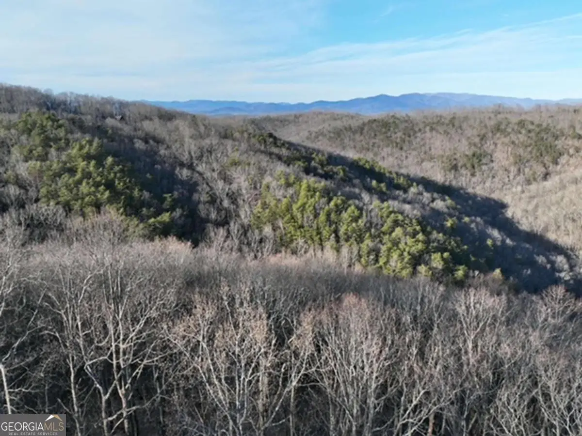 249 Andes Ridge, Ellijay, GA 30536 - #1