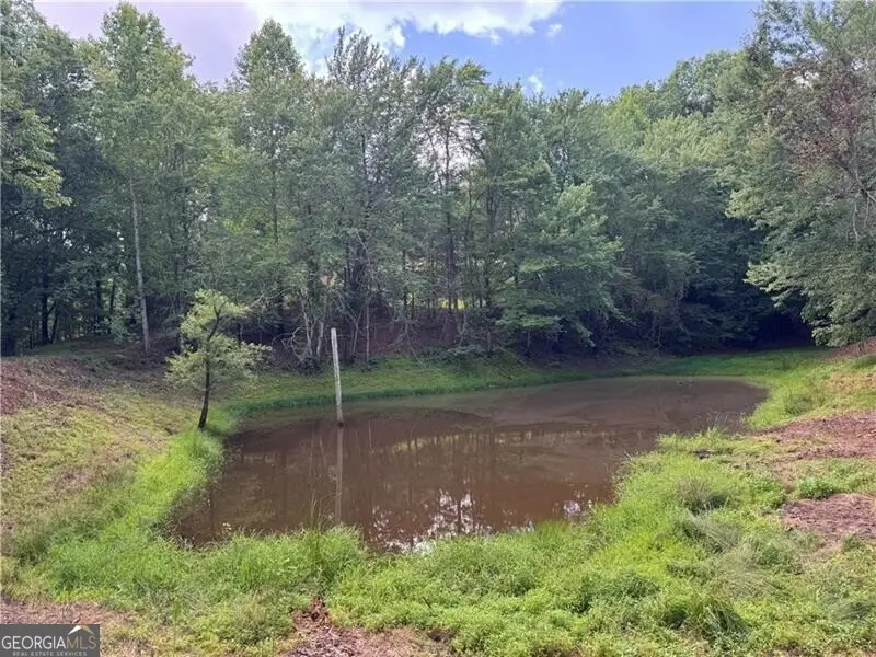 0 Ben Higgins Road, Dahlonega, GA 30533 - #1