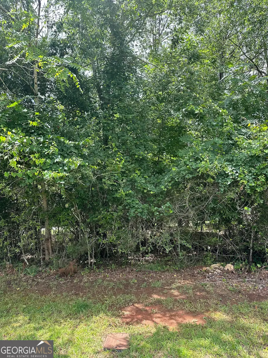 1361 Arborgate Street, Madison, GA 30650 - #2