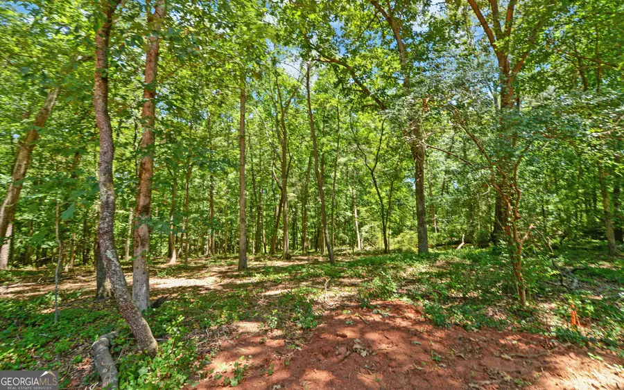 67 Blossom Trail, Lavonia, GA 30553 - #3