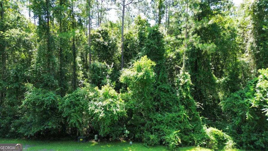 183 Sunrise Drive, Woodbine, GA 31569 - #3