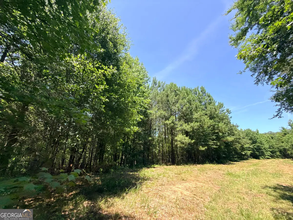 2807 Cedar Creek Road, Elberton, GA 30635 - #1
