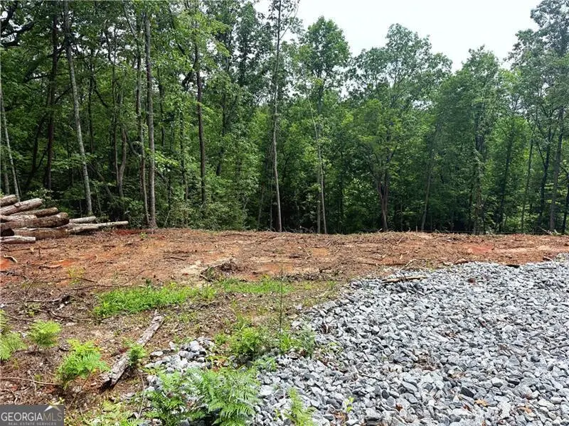 329 River Highlands Road, Dahlonega, GA 30533 - #1