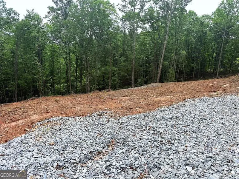 329 River Highlands Road, Dahlonega, GA 30533 - #2